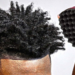 Free Forms Hair: What It Is, How It Works, and Why It Matters